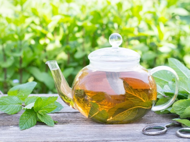 Công thức pha trà bạc hà